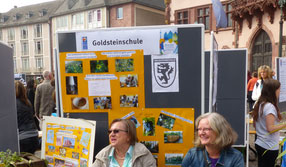 goldsteinschule